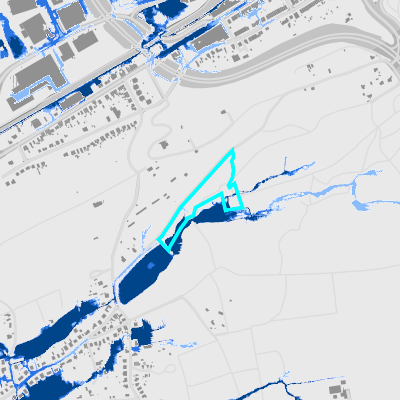 Overstromingsgevoelig (pluviaal)