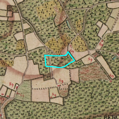 Ferraris (1771-1778)