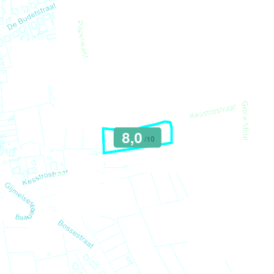 Mobiscore