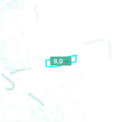 Mobiscore