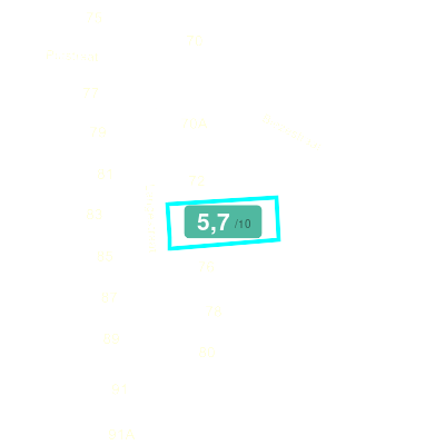 Mobiscore