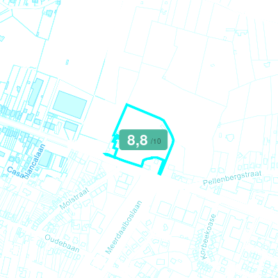 Mobiscore