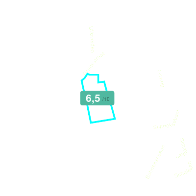 Mobiscore