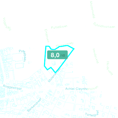 Mobiscore