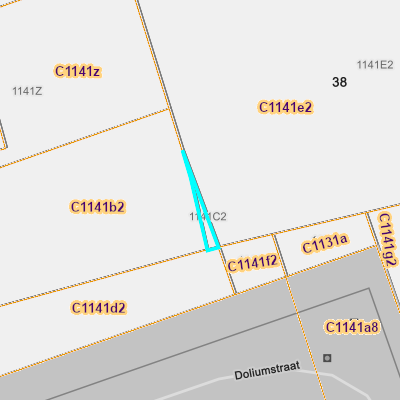 CADGIS