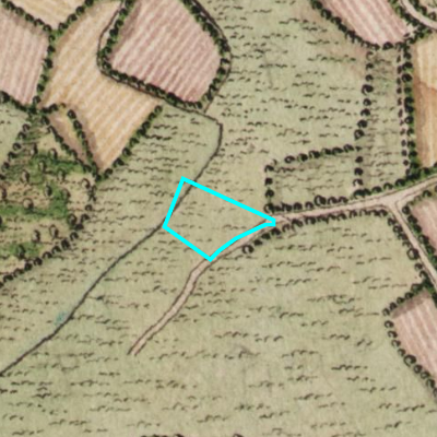 Ferraris (1771-1778)