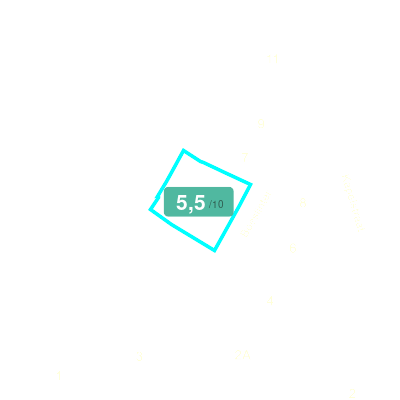 Mobiscore