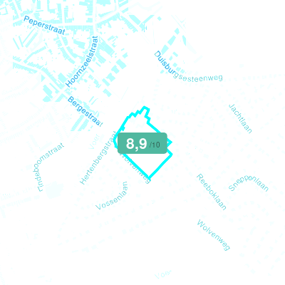 Mobiscore