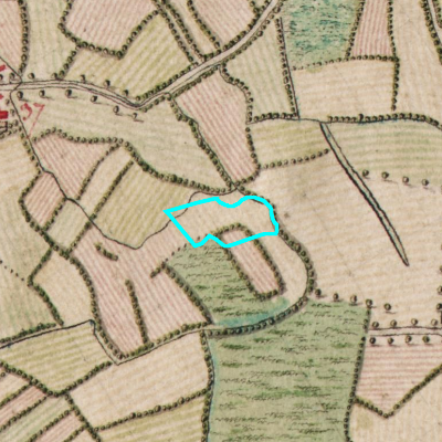 Ferraris (1771-1778)