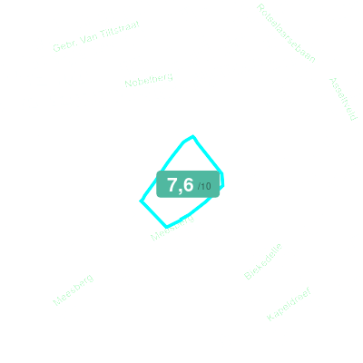 Mobiscore
