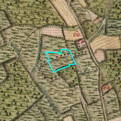 Ferraris (1771-1778)