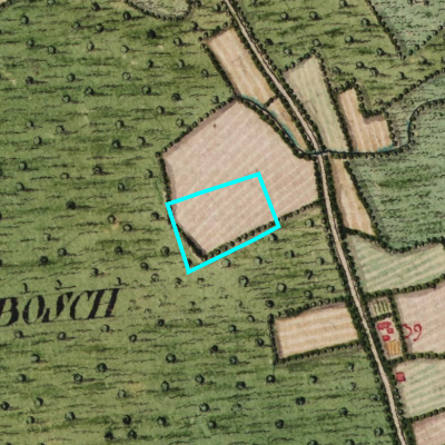 Ferraris (1771-1778)