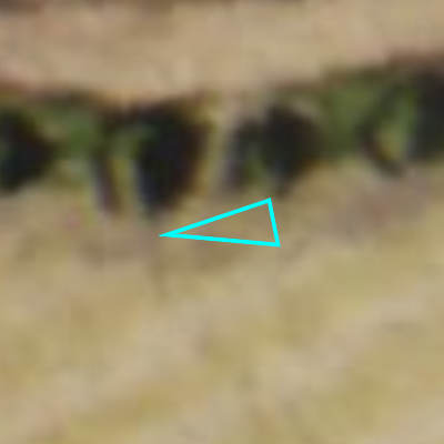 Ferraris (1771-1778)