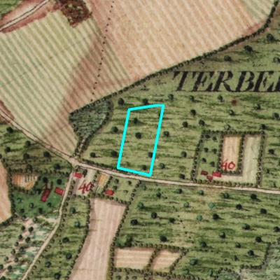 Ferraris (1771-1778)