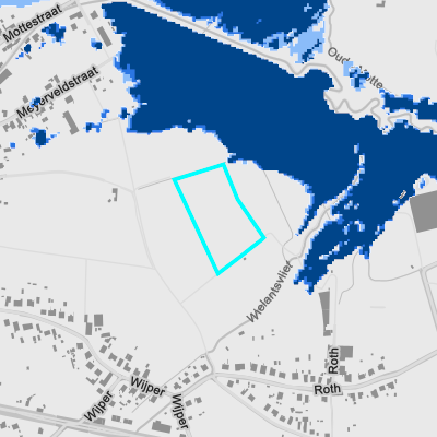 Overstromingsgevoelig (fluviaal)