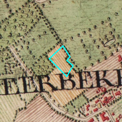 Ferraris (1771-1778)