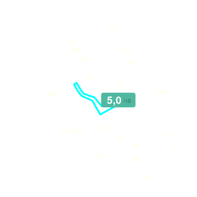 Mobiscore