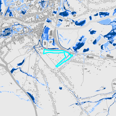 Overstromingsgevoelig (pluviaal)