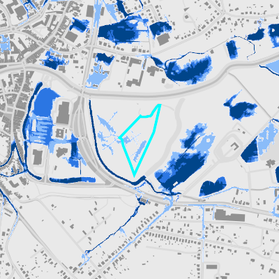 Overstromingsgevoelig (pluviaal)