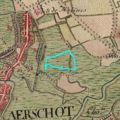 Ferraris (1771-1778)