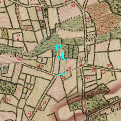 Ferraris (1771-1778)