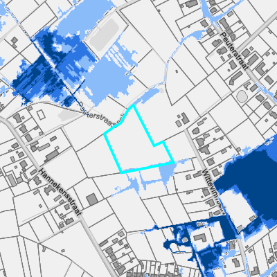 Overstromingsgevoelig (pluviaal)