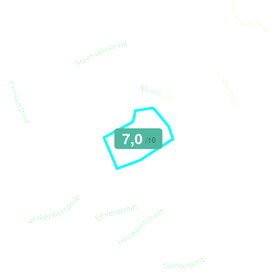 Mobiscore