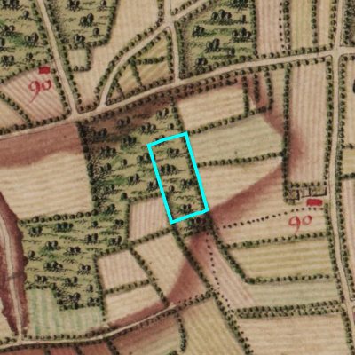 Ferraris (1771-1778)