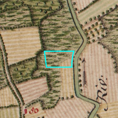 Ferraris (1771-1778)