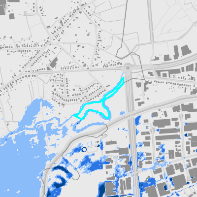 Overstromingsgevoelig (fluviaal)
