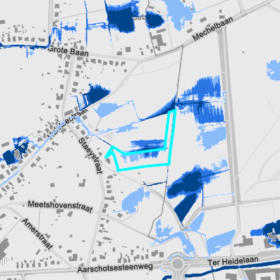 Overstromingsgevoelig (pluviaal)