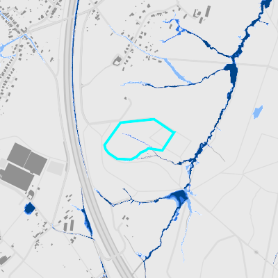 Overstromingsgevoelig (pluviaal)
