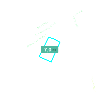 Mobiscore