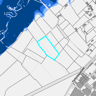Overstromingsgevoelig (fluviaal)