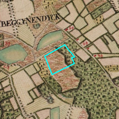 Ferraris (1771-1778)