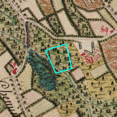 Ferraris (1771-1778)