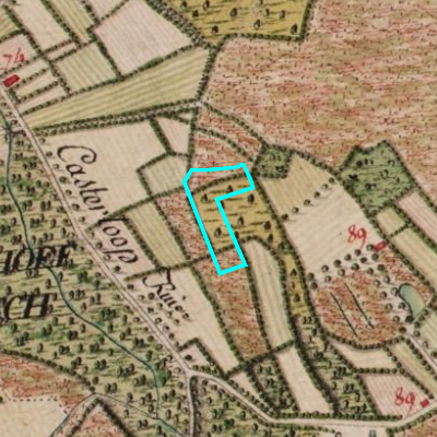 Ferraris (1771-1778)