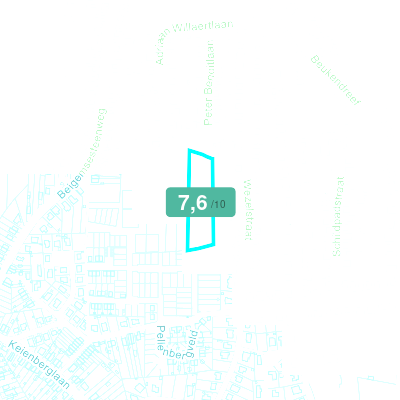 Mobiscore