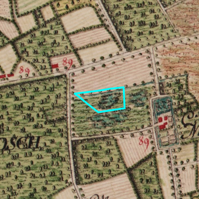 Ferraris (1771-1778)