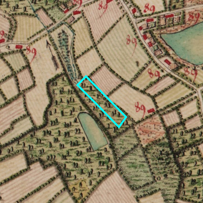 Ferraris (1771-1778)