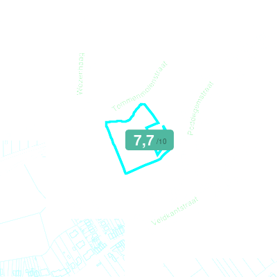 Mobiscore