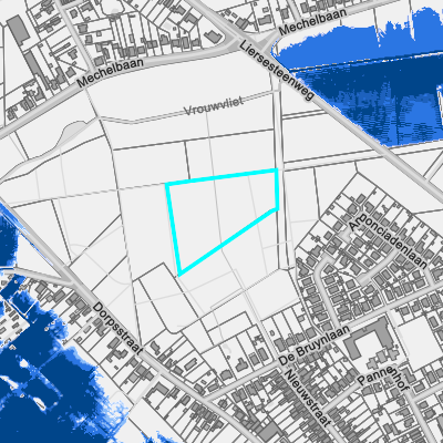 Overstromingsgevoelig (fluviaal)