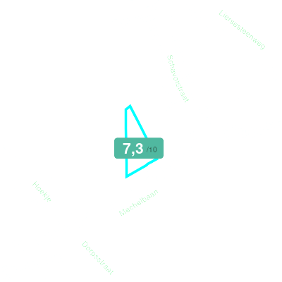Mobiscore