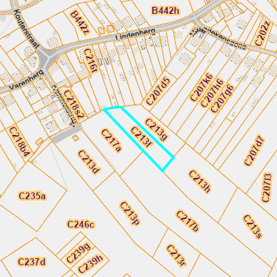 CADGIS