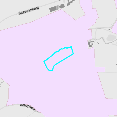 Recht van voorkoop