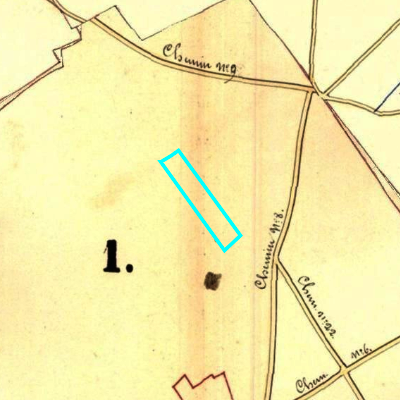 Algemeen Bodemgebruik (ABW)