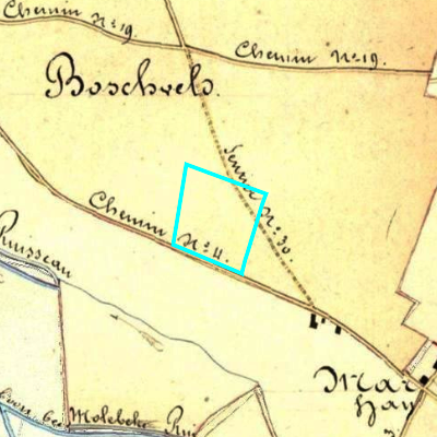 Algemeen Bodemgebruik (ABW)