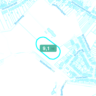Mobiscore