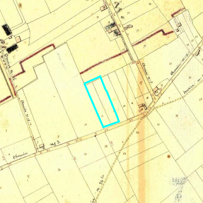 Algemeen Bodemgebruik (ABW)