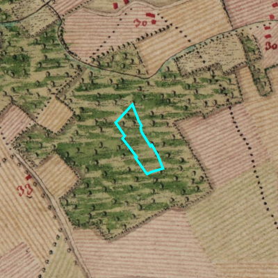 Ferraris (1771-1778)